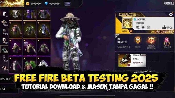 ff beta pro download
